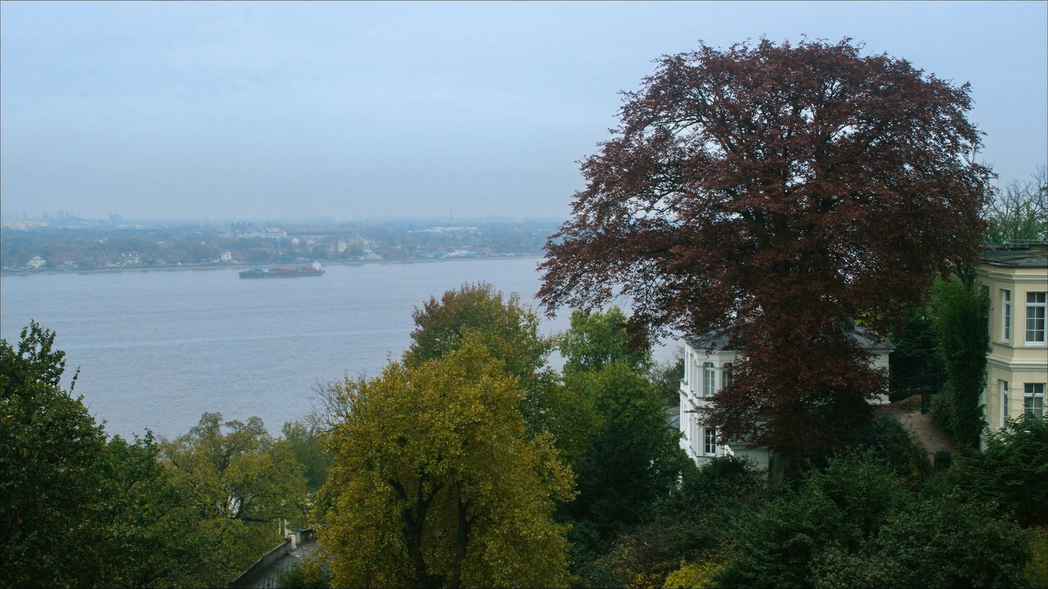 Blankenese Elbhang: Kupferbuche, weiße Villa, Elbe
